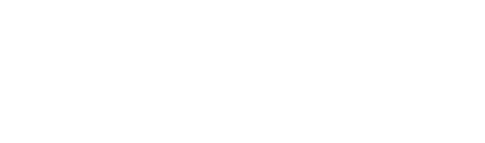 logo_aces-