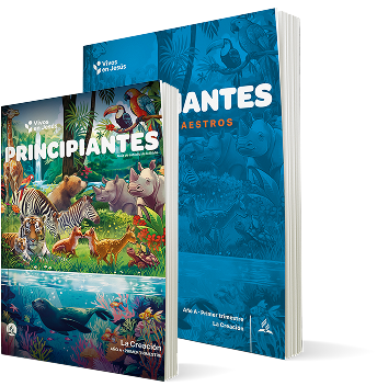 principiantes